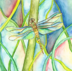 Dragonfly Letter Size